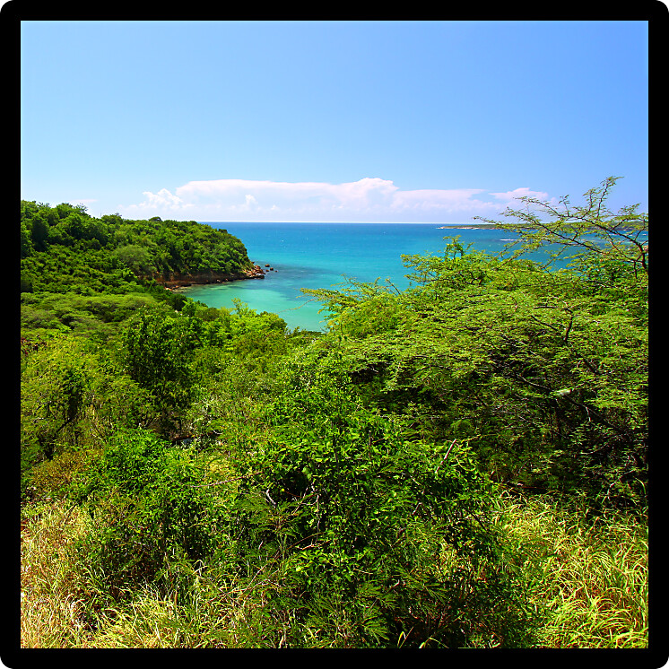 Caribbean coastline at Guanica Dry Forest Reserve in Puerto Rico.