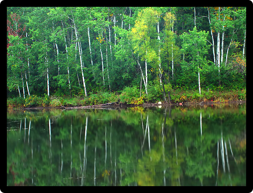 Beautiful colors reflect off a pond at Kettle Moraine State Forest in Wisconsin.