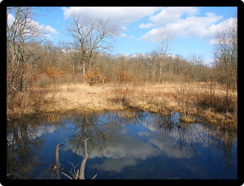 Beautiful early spring day at a small pond at Kickapoo State Park in Illinois.