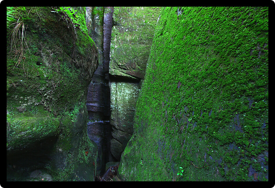 Seemingly ancient moss covered rock wall in northern Alabama.