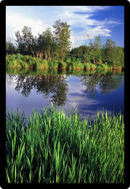 Beautiful evening at the Nara Nature Preserve in Michigans Upper Peninsula.