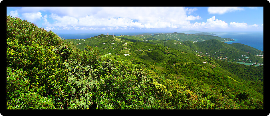Panoramic view of Tortola from Sage Mountain National Park in the British Virgin Islands.