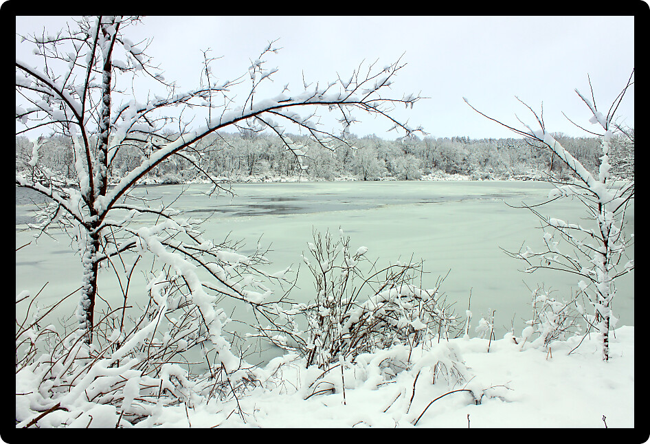Freshly fallen snow on Pierce Lake at Rock Cut State Park in Illinois.