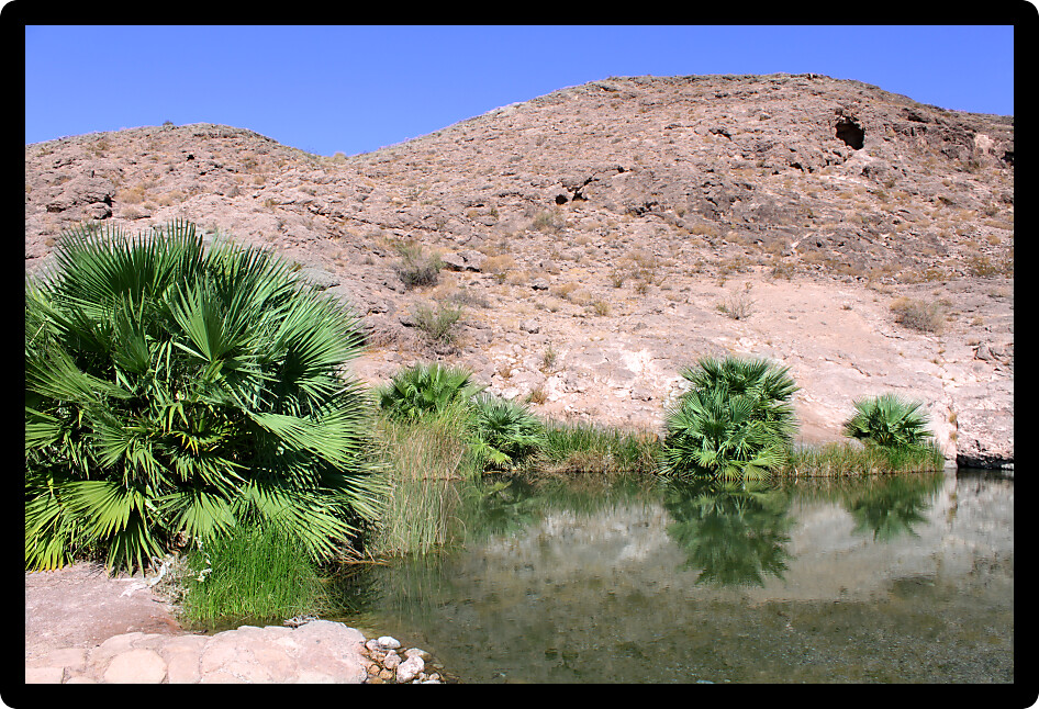 Clear waters of Rogers Spring in the hot desert of Nevada.