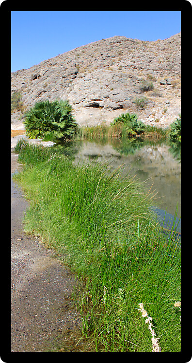 Clear waters of Rogers Spring in the arid desert of Nevada.