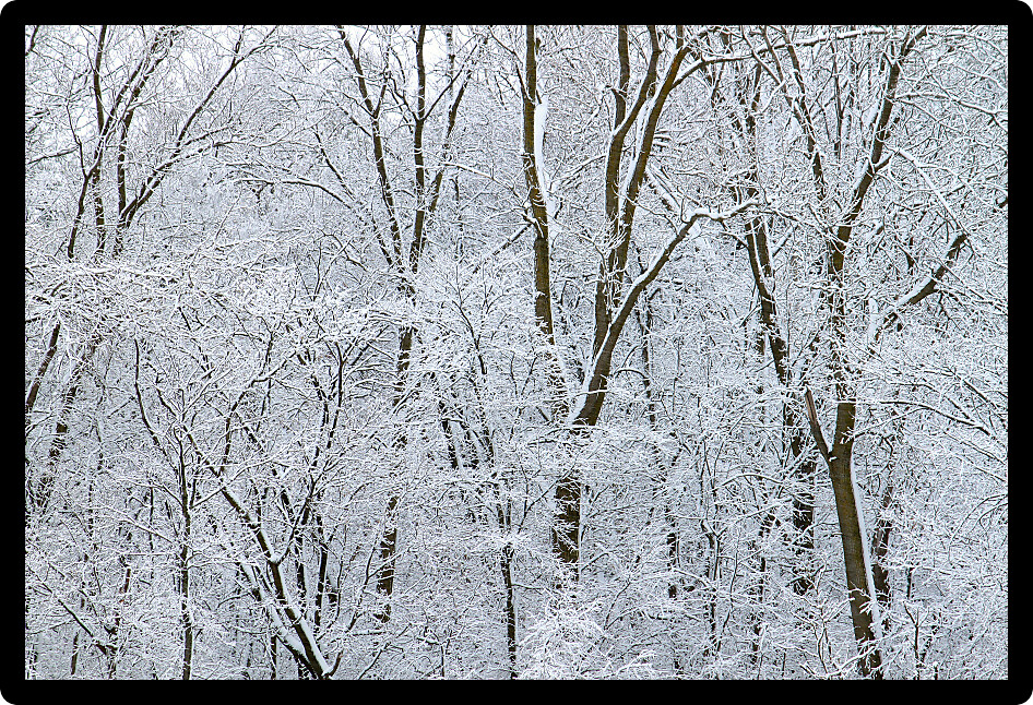 Winter wonderland at Rock Cut State Park in Illinois.
