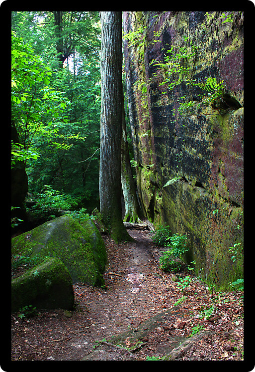 Beautiful secluded canyon northern Alabama.