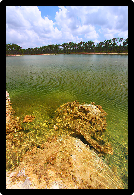 Scenic view of a lake in the Everglades National Park USA.