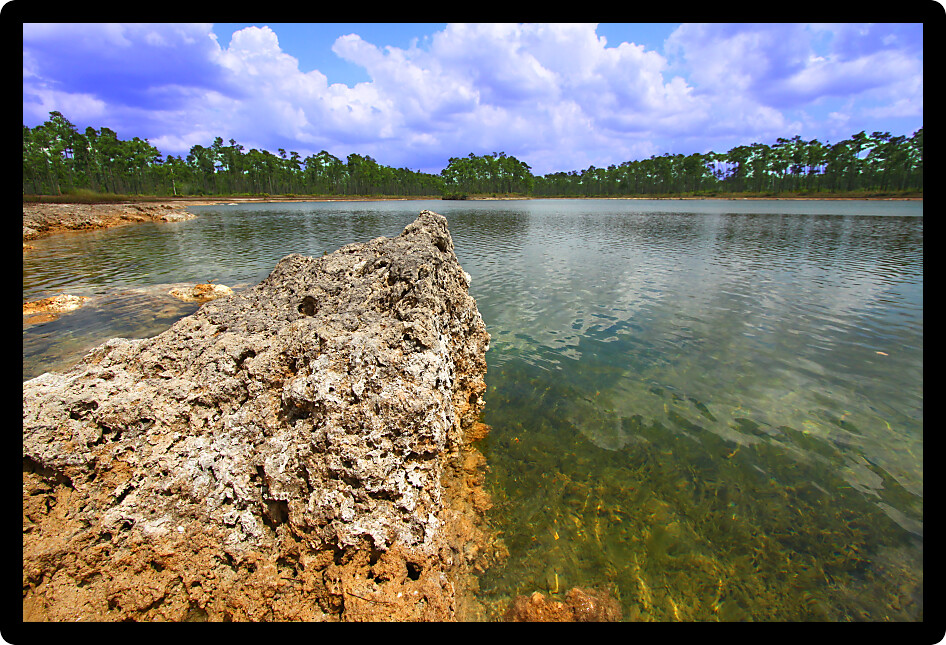 Scenic view of a lake in the Everglades National Park USA.
