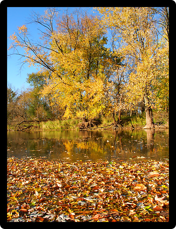 Beautiful fall colors reflect off the Kishwaukee River in Boone County Illinois.
