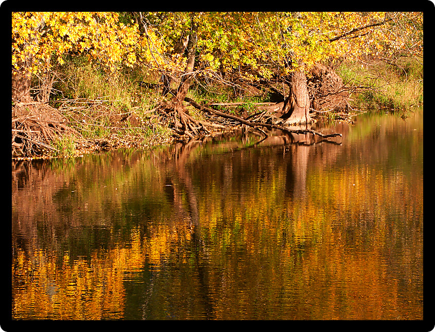 Beautiful fall colors reflect off the Kishwaukee River in Boone County Illinois.