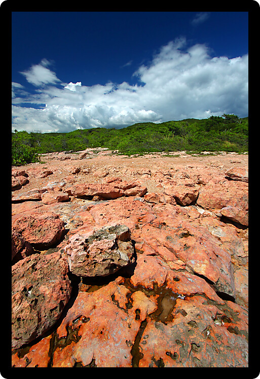 Caribbean coastline at Guanica Dry Forest Reserve on the Caribbean island of Puerto Rico.