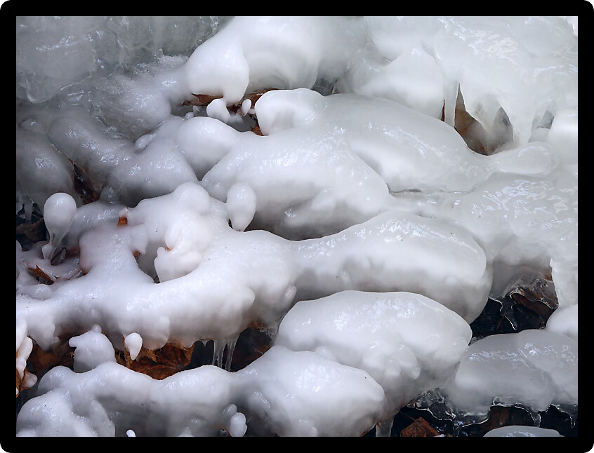 Beautiful ice formations formed along a creek.