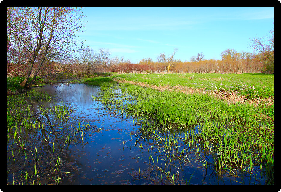 Small oxbow backwater of a river in northern Illinois.
