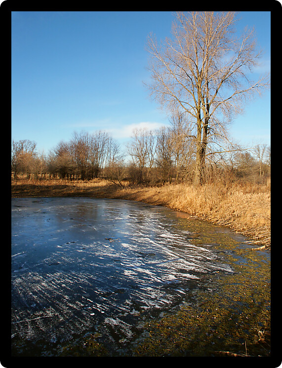 View of a small pond in the midwest of the United States.