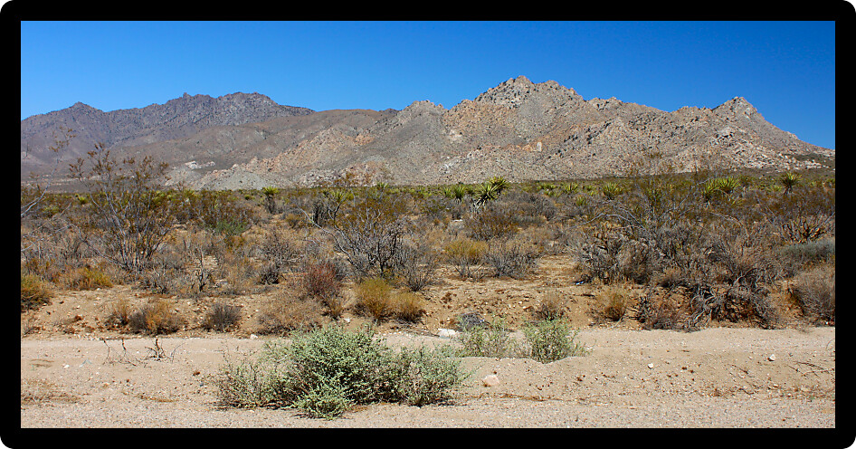 Rugged desert landscape of the Mojave National Preserve in California.