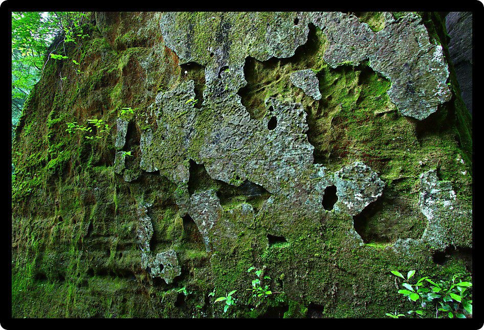 Seemingly ancient moss covered rock wall in northern Alabama.