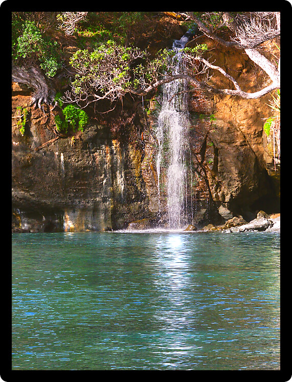 Waterfall flows into the ocean at Goat Island Marine Reserve on the North Island of New Zealand.