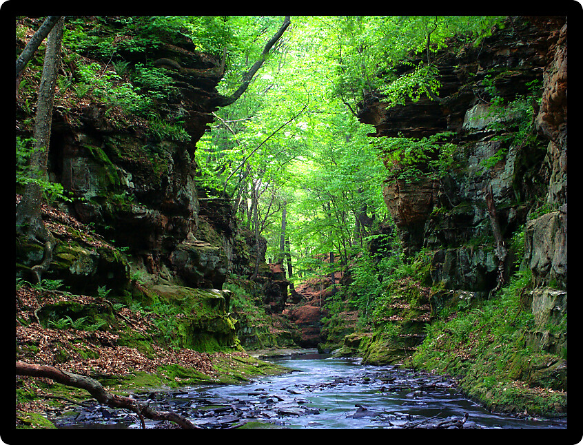 Slot canyon running through Pewits Nest State Natural Area near the Wisconsin Dells.