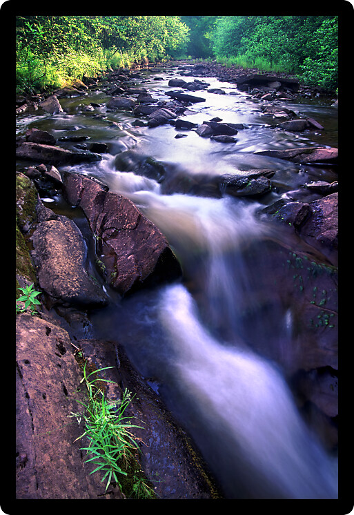 Sunlight gleams off the smooth waters of a stream nestled in the Porcupine Mountains Wilderness State Park of Michigan.