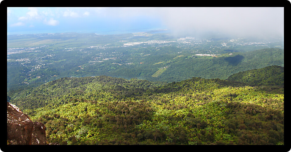 View of the Puerto Rican landscape from El Yunque Peak.