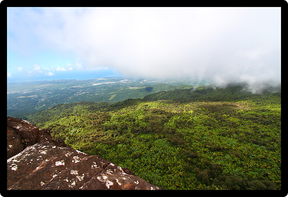 View of the Puerto Rican landscape from El Yunque Peak.