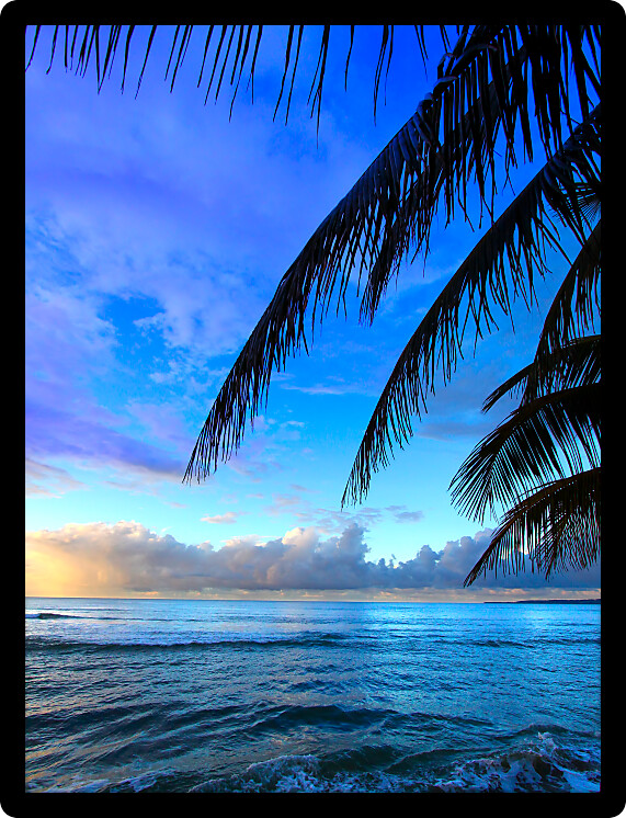 Beautiful sunset framed by palm fronds on the west coast of Puerto Rico.