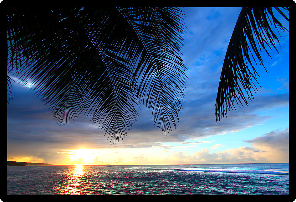Beautiful sunset framed by palm fronds on the west coast of Puerto Rico.