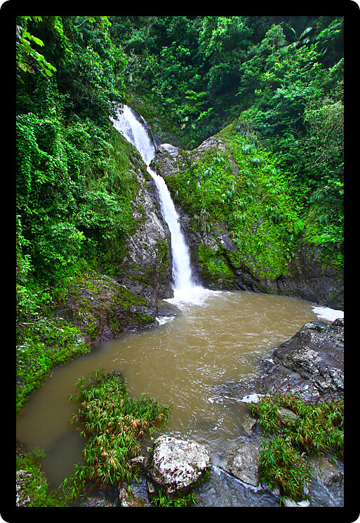 Beautiful Dona Juana Falls in the Cordillera Central rainforests of Puerto Rico.