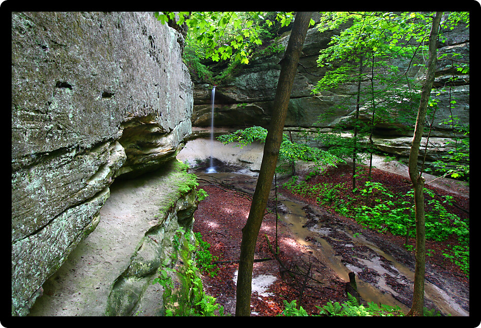 Springtime scene at Owl Canyon of Starved Rock State Park in Illinois.