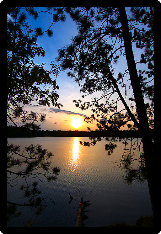 Beautiful sunset seen through pine trees over a northwoods Wisconsin lake.