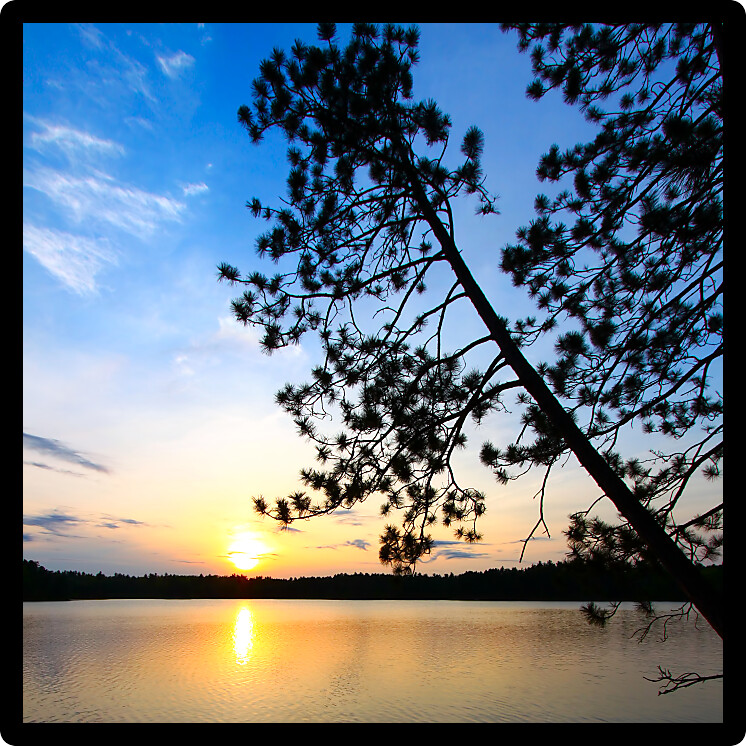 Beautiful sunset seen through pine trees over a northwoods Wisconsin lake.