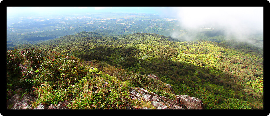 View of the Puerto Rican landscape from El Yunque Peak.