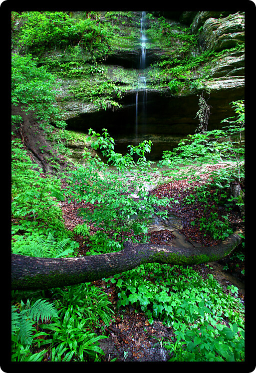 Lush vegetation grows near a small waterfall at Starved Rock State Park.