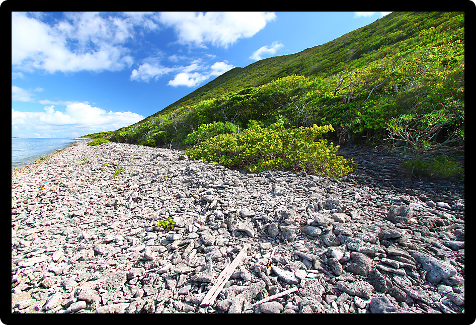 Beautiful coastline scenery of the British Virgin Islands.