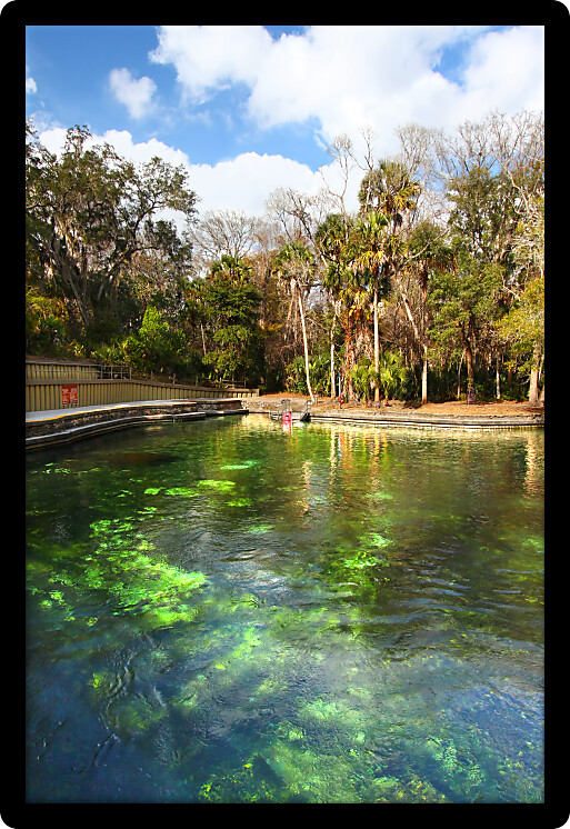 Clear waters of Wekiwa Springs State Park in central Florida.