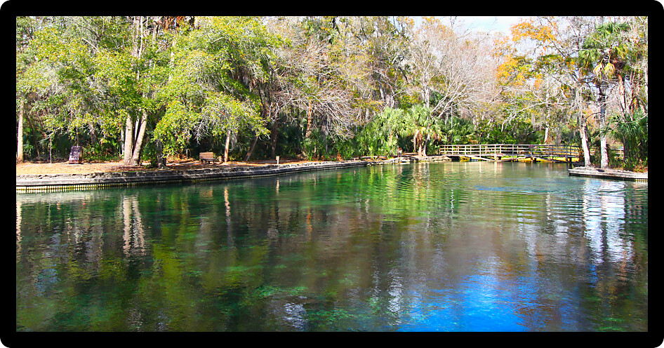 Clear waters of Wekiwa Springs State Park in central Florida.