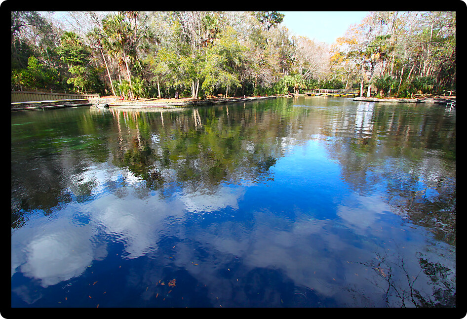 Clouds reflect off the waters of Wekiwa Springs State Park in central Florida.
