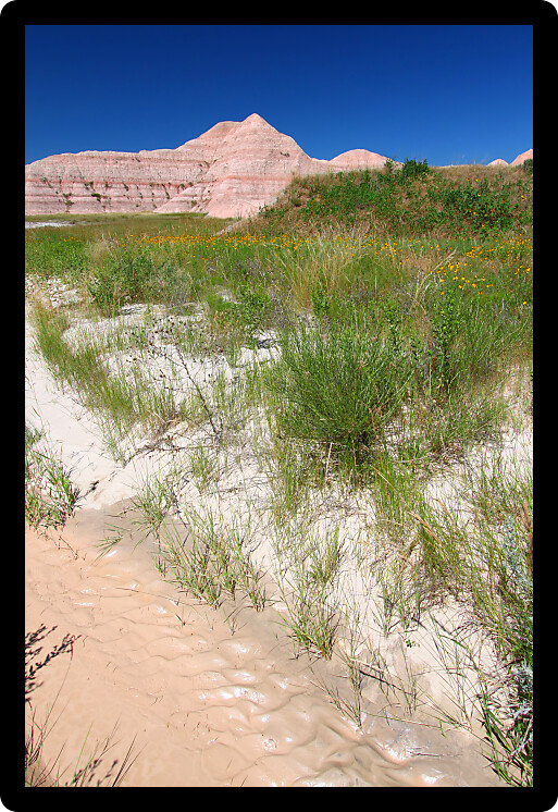 Small muddy creek runs through the Conata Basin of Badlands National Park in South Dakota.