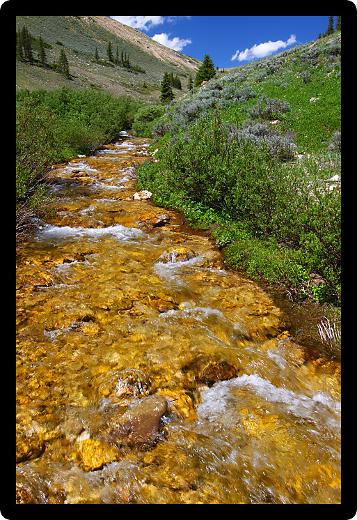 Pristine mountain stream flows through the Bighorn National Forest USA.