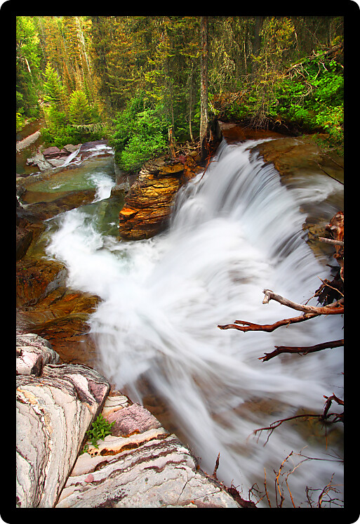 Beautiful waterfall flows through the pine forests of Glacier National Park in Montana.