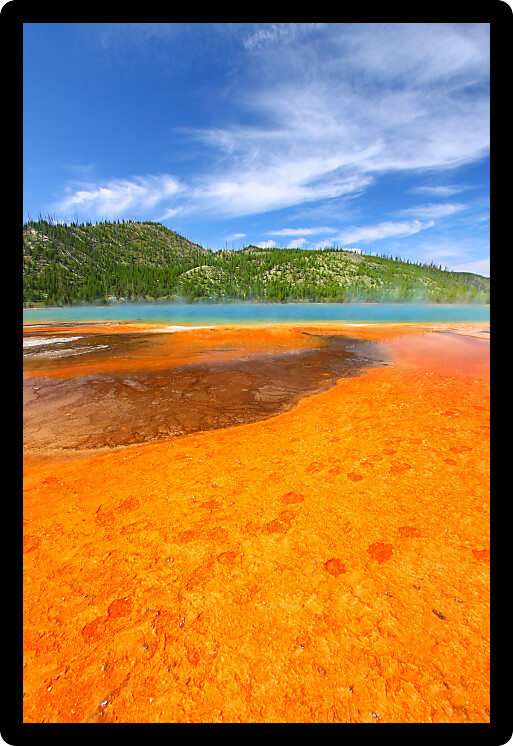 Vivid colors of Grand Prismatic Spring in Yellowstone National Park USA.