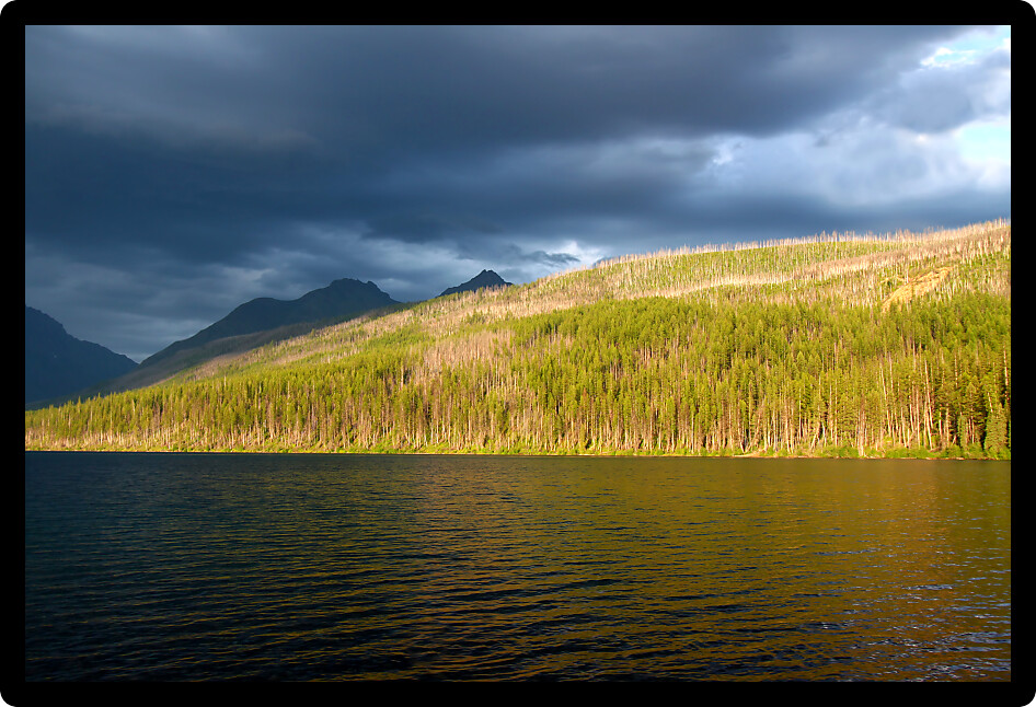 Sunlight illuminates the shoreline of Kintla Lake against a stormy sky in Glacier National Park USA.