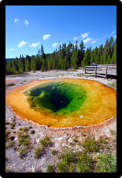 Bright colors of the Morning Glory Pool in Yellowstone National Park of Wyoming.