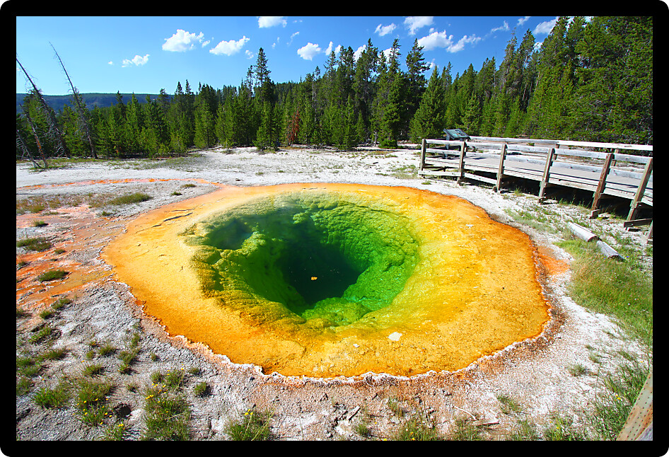 Bright colors of the Morning Glory Pool in Yellowstone National Park of Wyoming.