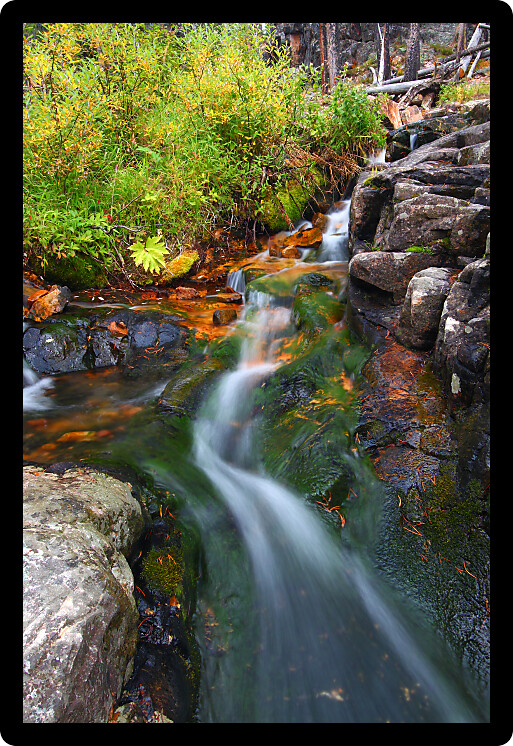 Small creek cascade in the Lewis and Clark National Forest of Montana.