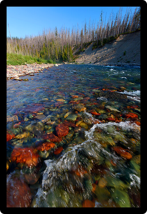 Rapids of the North Fork Flathead River on the border of Glacier National Park.