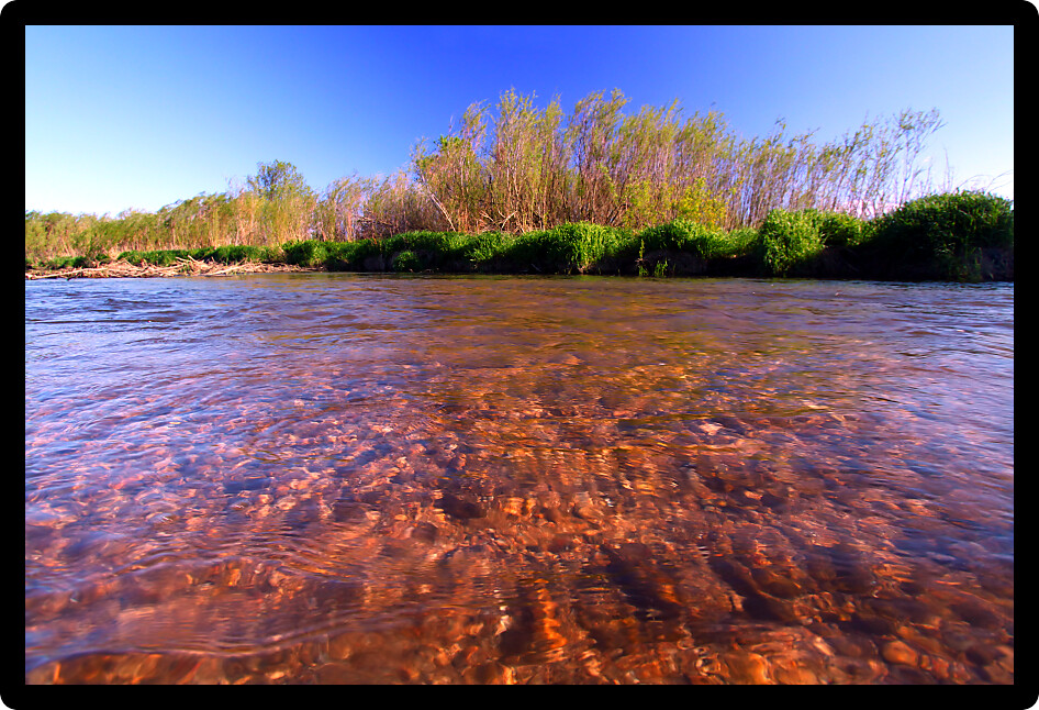 Beautiful springtime view of Piscasaw Creek in northern Illinois.
