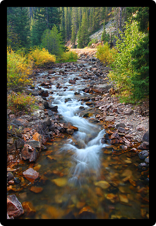 Clear stream flowing through the Lewis and Clark National Forest of Montana.