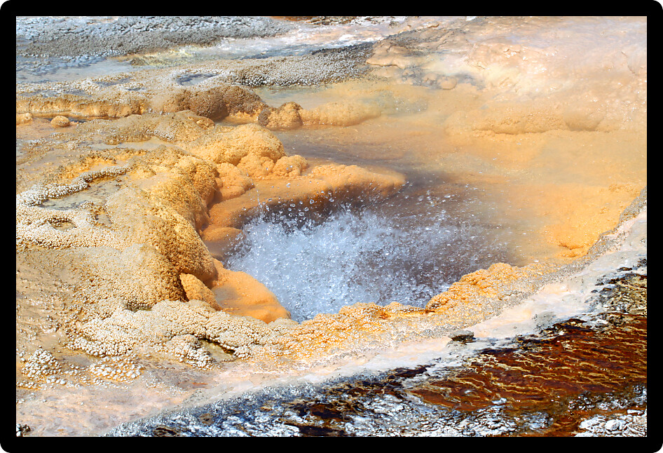 View of Pump Geyser at Yellowstone National Park in the United States.